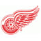 Detroit logo - nhl