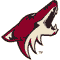 Arizona Coyotes logo - NHL