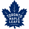 * Winnipeg logo - NHL