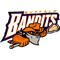 Buffalo(from Arizona)  logo - nll